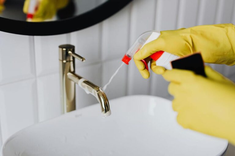 Detoxify Your Home A Guide To Creating A Healthier Living Space