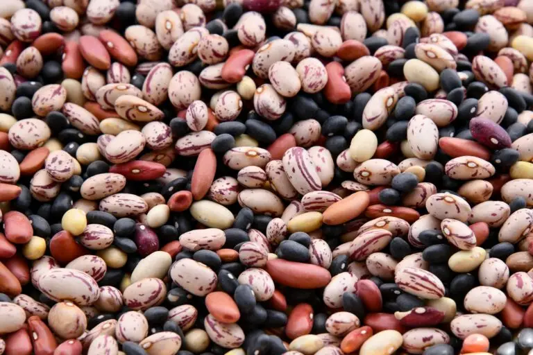 Embracing Plant Power: How Phytoestrogens Can Ease Menopausal Symptoms