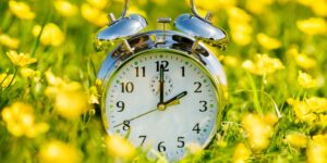 Spring Reset: 6 Simple Ways to Support Your Health This Season